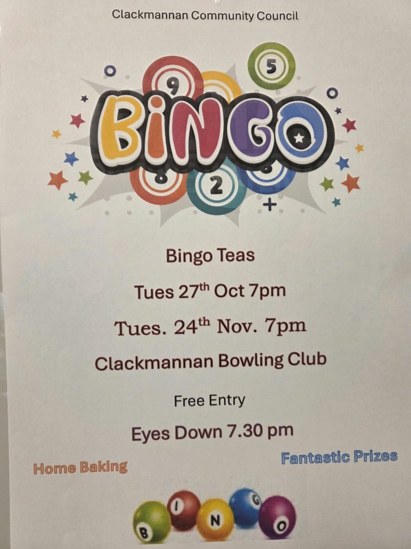 Bingo
